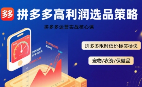 拼多多选品暴利技术实战课，拼多多高利润选品策略，拼多多限时低价标签秘诀-yicbd