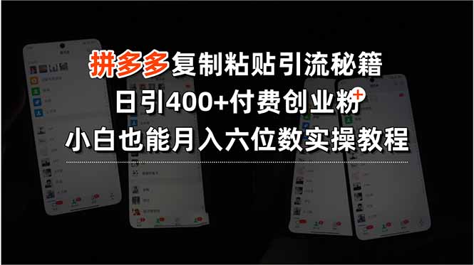 拼多多复制粘贴引流秘籍，日引400+付费创业粉，小白也能月入六位数实操…-yicbd