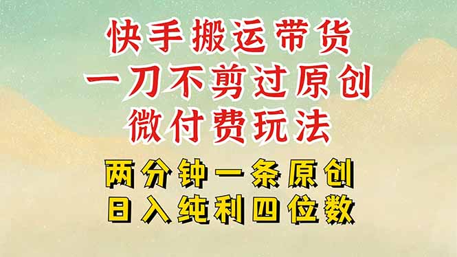 快手黑科技搬运带货，一刀不剪过原创，微付费投流玩法，轻松日入四位数…-yicbd