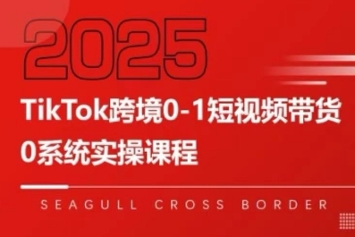 TikTok跨境0-1短视频带货，系统拆解TikTok跨境带货全链路，实现跨境可持续盈利-yicbd