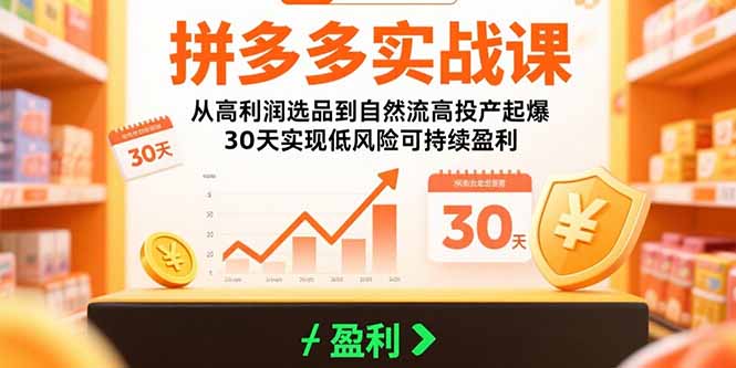 拼多多实战课：从高利润选品到自然流高投产起爆 30天实现低风险可持续盈利-yicbd