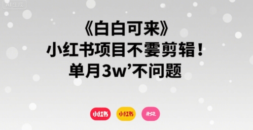 小白可来 小红书项目不需要剪辑 单月3w不是问题-yicbd
