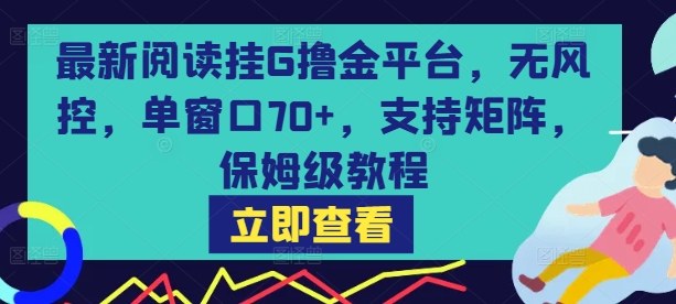 最新阅读挂G撸金平台，无风控，单窗口70+，支持矩阵，保姆级教程【揭秘】-yicbd