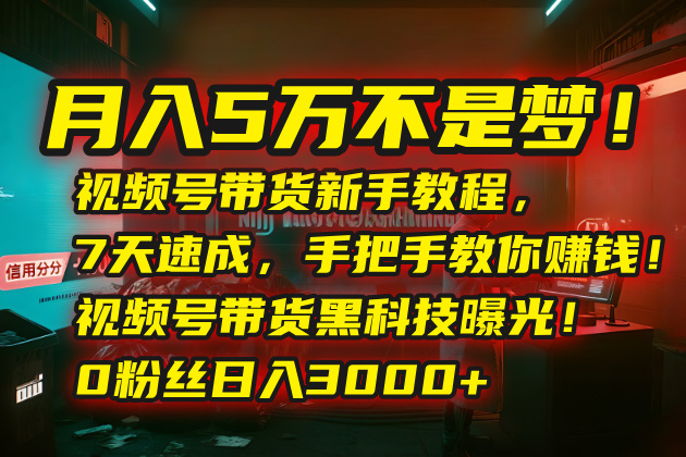 月入5万不是梦！视频号带货新手教程，7天速成，手把手教你赚钱！视频号…-yicbd
