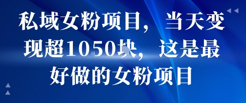私域女粉项目，当天变现超1k，这是最好做的女粉项目，可放大操作-yicbd