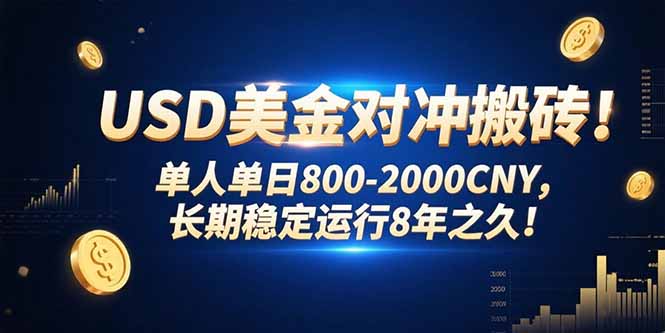 USD美金对冲搬砖!单人单日800-2000CNY，长期稳定运行8年之久!-yicbd