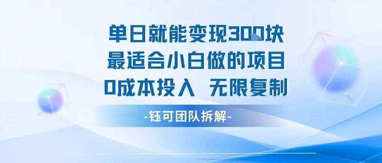 单日就能变现3张最适合小白做的项目0成本投入 无限复制-yicbd