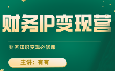 有有老师·财务IP变现营，财务知识变现必修课-yicbd