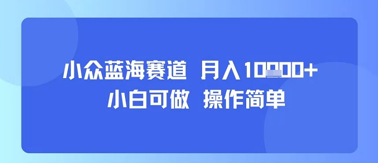 小众蓝海赛道，小白可做，操作简单，每天30分钟，月入1W+-yicbd