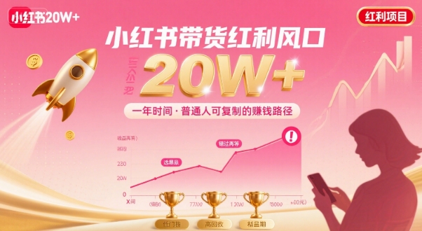 一年时间靠小红书带货项目年入20w+，最不能错的大红利项目-yicbd
