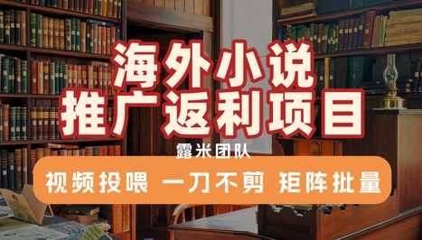 海外小说推广返利项目，视频投喂， 一刀不剪，矩阵批量-yicbd