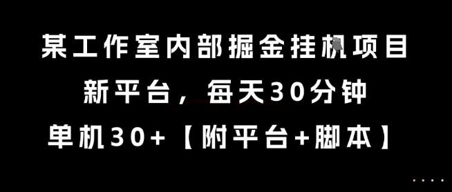 某工作室内部掘金挂G项目，新平台，每天30分钟，单机30+【揭秘】-yicbd