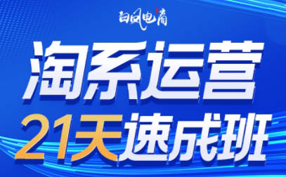 白凤电商·淘系运营21天速成班(更新7月)-yicbd