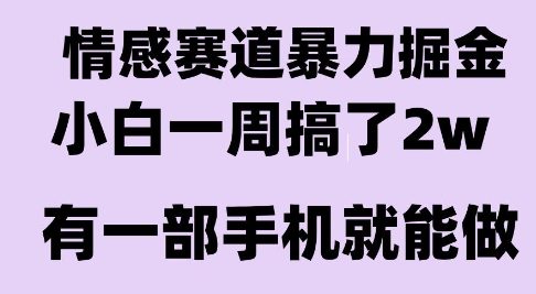情感暴力掘金项目，新人操作一周挣了2W，长期稳定小白可做【揭秘】-yicbd