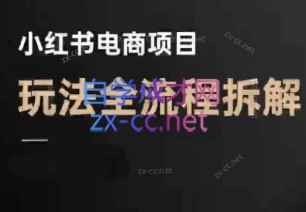 菲菲老师·小红书电商玩法(更新7月)-yicbd