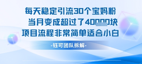 每天稳定引流30个人 当月变成超过了4个W项目流程非常简单适合小白-yicbd