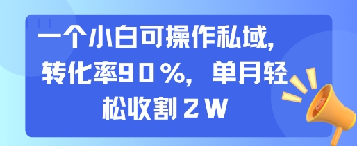 一个小白可操作私域，转化率90%，单月轻松收割2W-yicbd