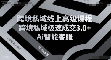 跨境私域线上高级课程，跨境私域极速成交3.0+Ai智能客服-yicbd