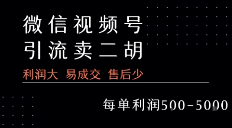 视频号卖二胡教程，利润大 易成交 售后少，一单利润5张+-yicbd