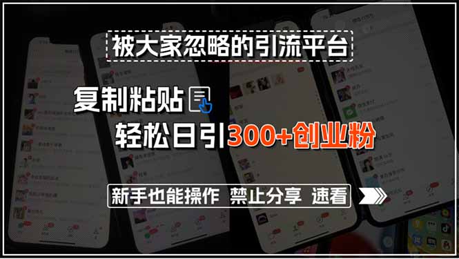 被大家忽略的引流平台，复制粘贴轻松日引300+创业粉，新手也能操作，禁…-yicbd