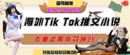 海外tiktok小说推文暴力项目，高停留率，高转化率，上手后一天搞顿饭钱不是问题-yicbd