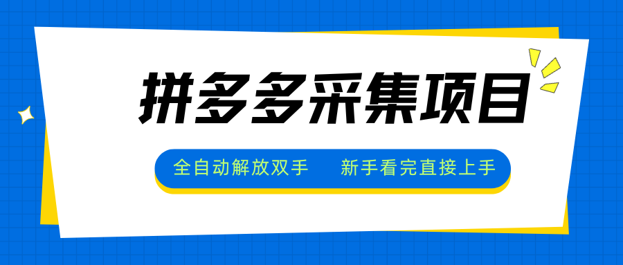 拼多多采集项目，全自动解放双手，单号日入30+-yicbd