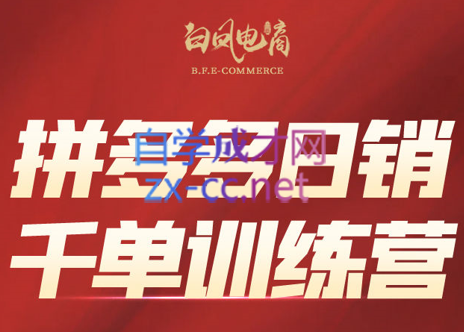 白凤电商·拼多多日销千单训练营(更新7月)-yicbd