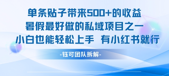 单条贴子带来5张的收益，暑假最好做的私域项目之一，小白也能轻松上手，有小红书就行-yicbd