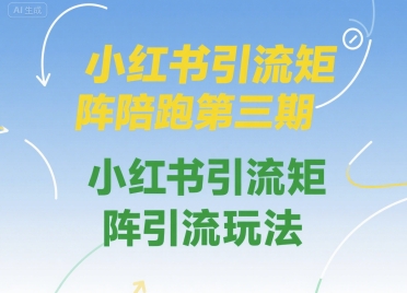 小红书引流矩阵陪跑第三期，小红书引流矩阵引流玩法-yicbd