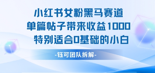 小红书女粉黑马赛道单篇帖子带来收益1k+，特别适合0基础的小白-yicbd