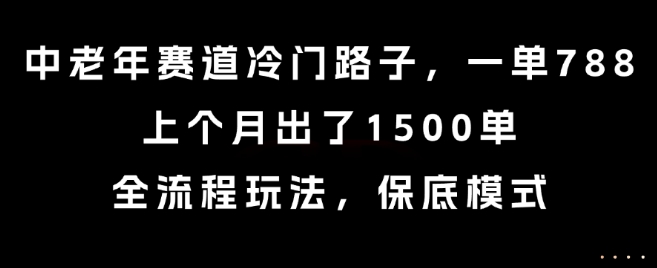 中老年赛道冷门路子，一单788，上个月出了1500单，全流程玩法，保底模式【揭秘】-yicbd