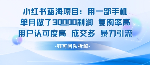 小红书蓝海项目，一部手机单月做了3W利润，小白也能月入过1W用户认可度高成交多-yicbd