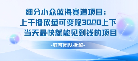 小众蓝海赛道项目：当天变现1k+适合新手操作 +适合长期玩-yicbd