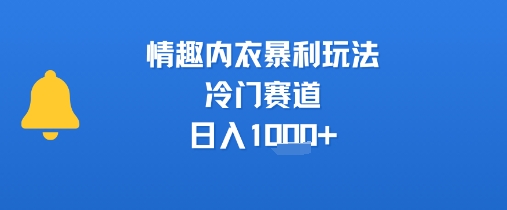 情趣内衣暴利玩法，冷门赛道，日入1k+-yicbd