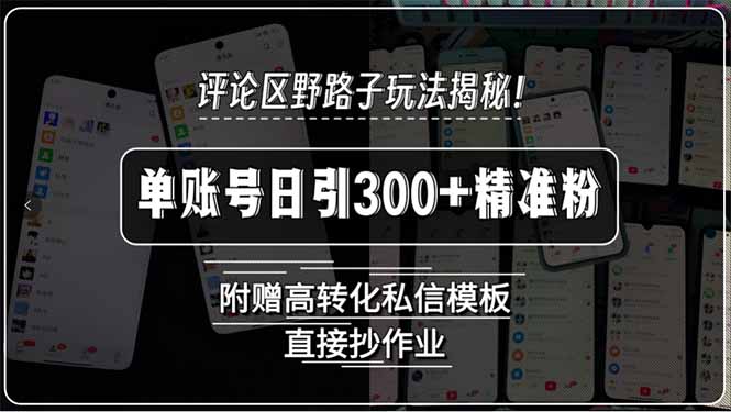 评论区野路子玩法揭秘！单账号日引300+精准粉，附赠高转化私信模板，直…-yicbd