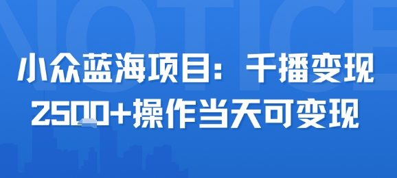 小众蓝海项目，千播变现2.5k+操作当天可变现-yicbd