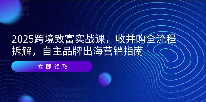 2025跨境致富实战课，收并购全流程拆解，自主品牌出海营销指南-yicbd