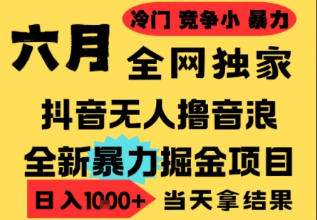 25年6月高爆抖音无人直播最新撸音浪掘金项目，小白可做，无脑日入1k+，门槛低可批量矩阵【揭秘】-yicbd