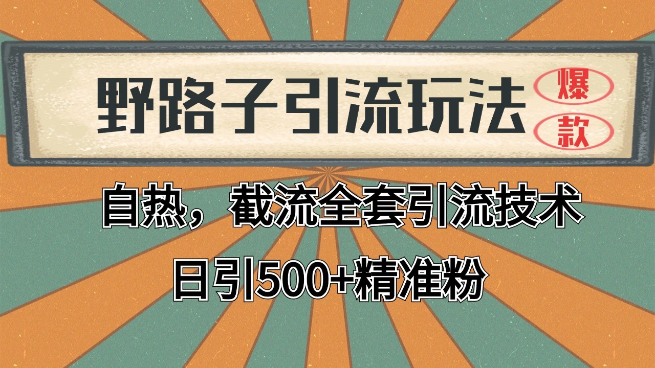 2024首发野路子引流玩法截流自热全平台打法，全自动引流【日引2000+精准客户】-yicbd