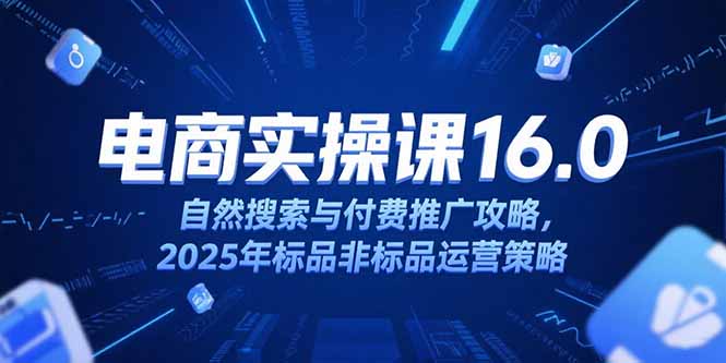 淘宝电商运营课16.0，自然搜索与付费推广攻略，2025年标品非标品运营策略-yicbd