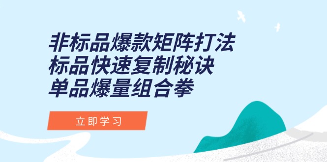 非标品爆款矩阵打法，标品快速复制秘诀，单品爆量组合拳-yicbd