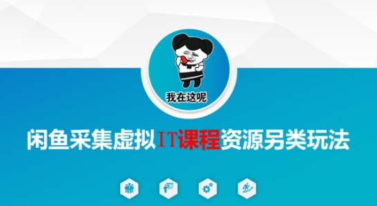 闲鱼采集虚拟IT课程资源另类玩法，干货满满-yicbd