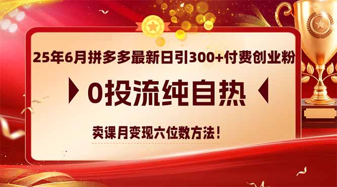 25年6月拼多多最新日引300+付费创业粉，0投流纯自热 卖课月变现六位数方法-yicbd