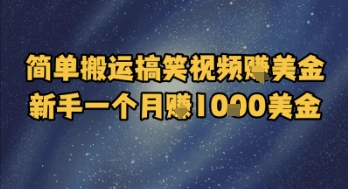 简单搬运搞笑视频挣美金，新手一个月入1k美金-yicbd