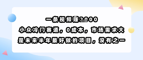 一条视频挣1k，小众冷门赛道，0成本，市场需求大，是未来半年最好做的项目，没有之一-yicbd