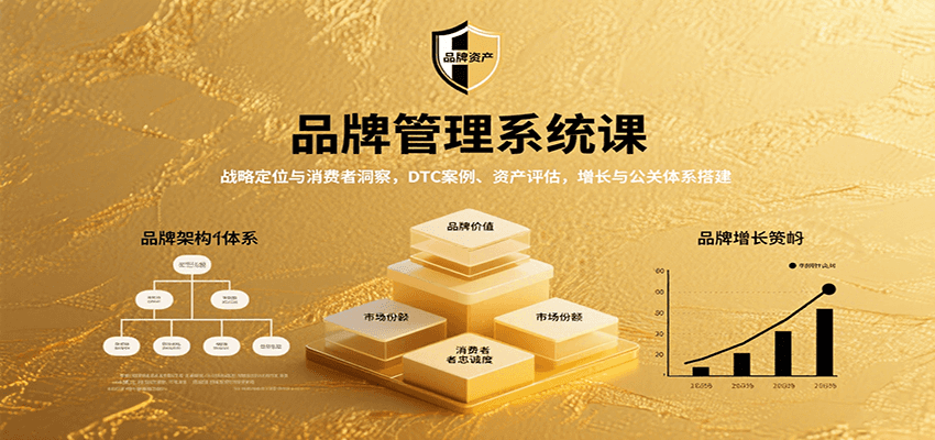 品牌管理系统课：战略定位与消费者洞察，DTC案例、资产评估，增长与公关体系搭建-yicbd