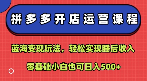 拼多多开店运营课程：蓝海变现玩法，轻松实现睡后收入，零基础小白也可日入5张-yicbd