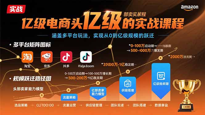 亿级电商头部卖家的实战课程：涵盖多平台玩法，实现从0到亿级规模的跃迁-yicbd