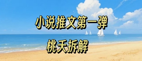 小说推文项目操作全流程第一弹，0粉就能做，门槛低非常适合新手-yicbd