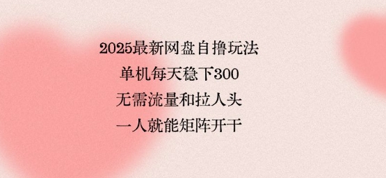2025最新网盘自撸玩法，单机每天稳下3张，无需流量和拉人头，一个人就可轻松矩阵，全网独一份【揭秘】-yicbd